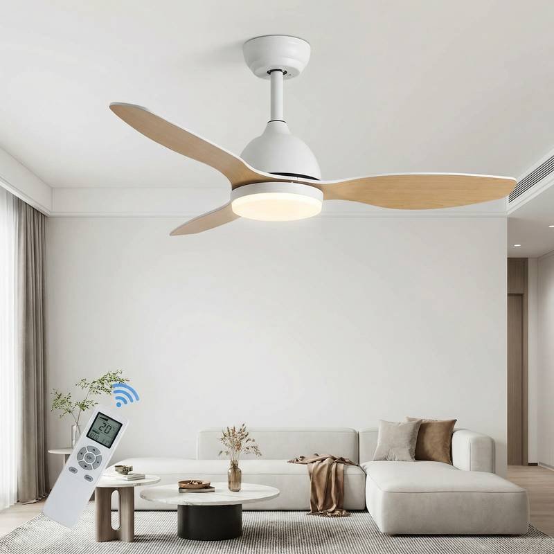 Smart Ceiling Fan