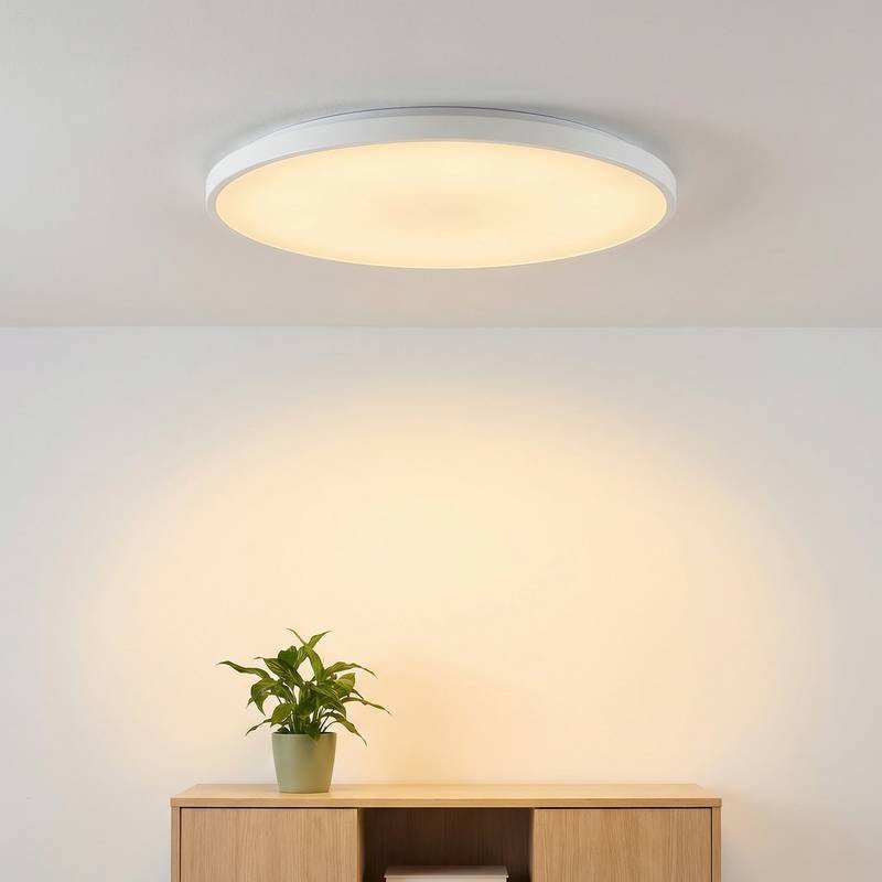Smart Ceiling Light